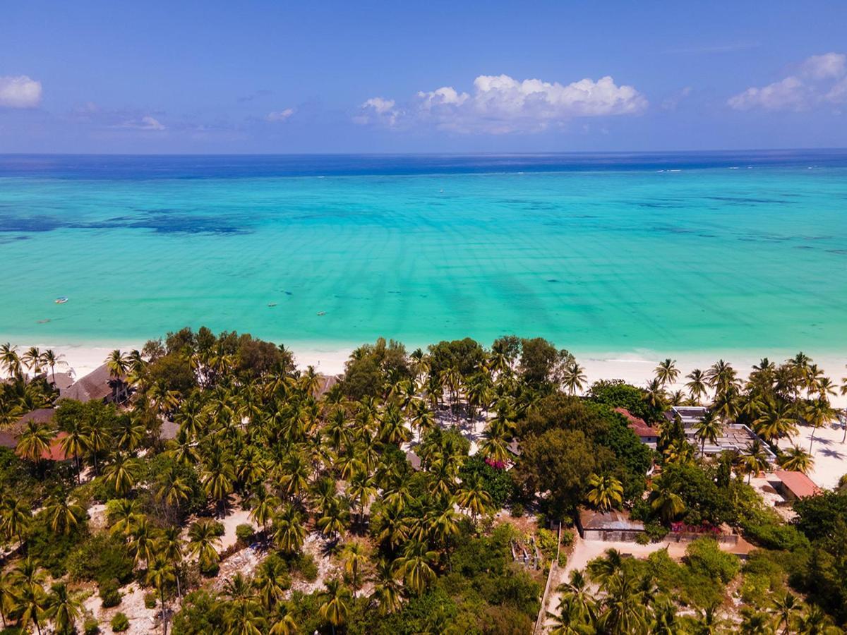 Heart Of Zanzibar Bungalows Paje Exteriör bild